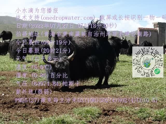 0.mp4