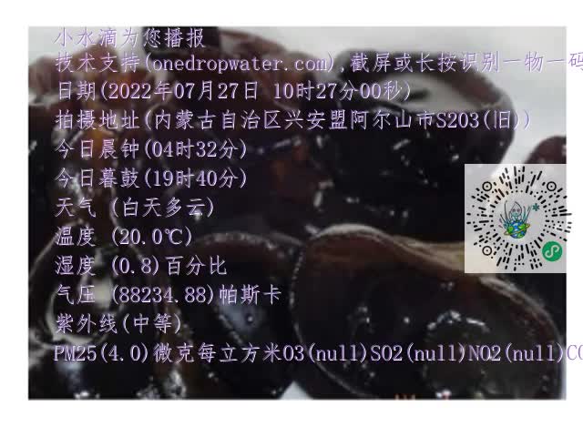0.mp4