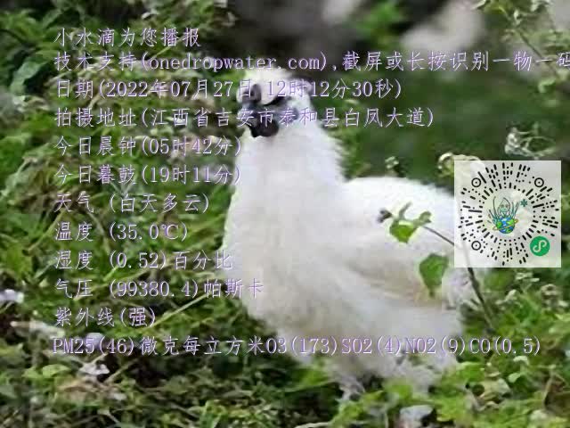 0.mp4