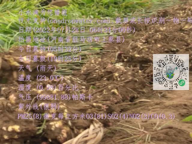 0.mp4