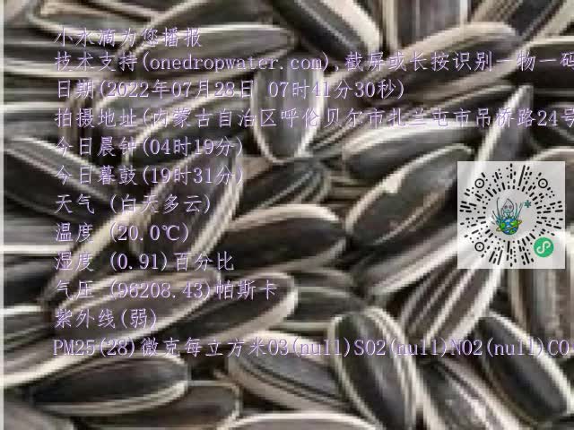 0.mp4