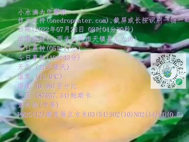 0.mp4