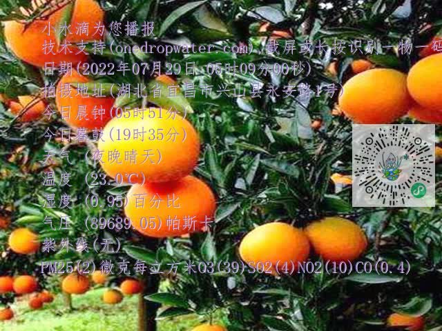 9f27c15a54c36c088ceecf758502d516.mp4