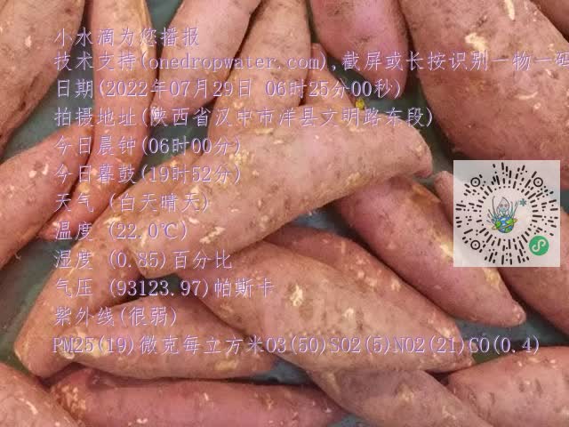 0.mp4