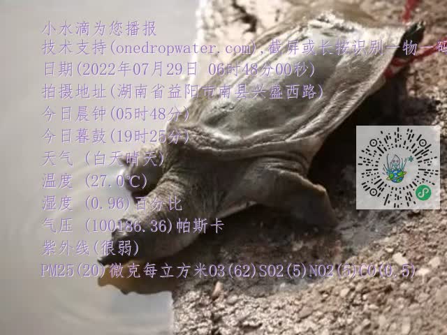 0.mp4