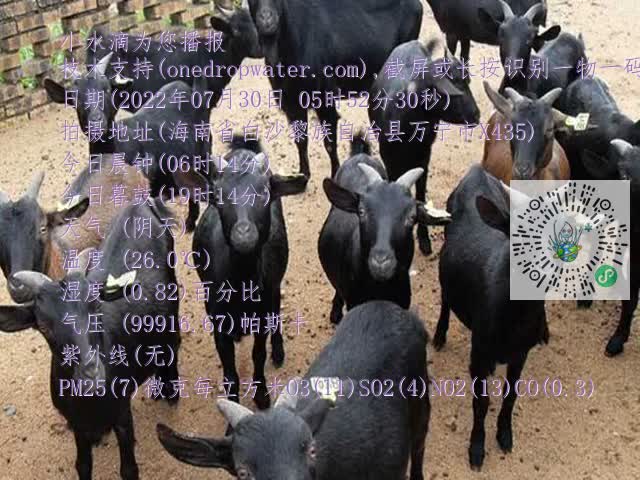 0df6b02a845ca5a6ab241ea637f45922.mp4