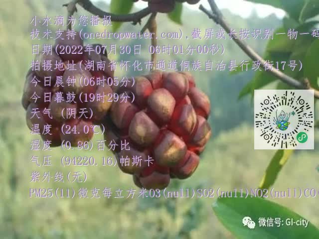 0.mp4