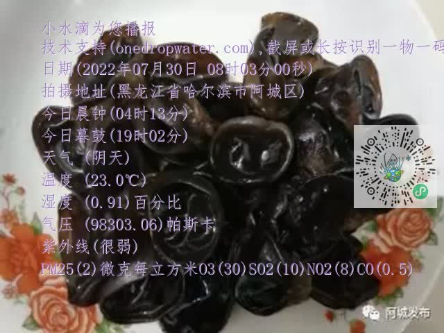 0.mp4