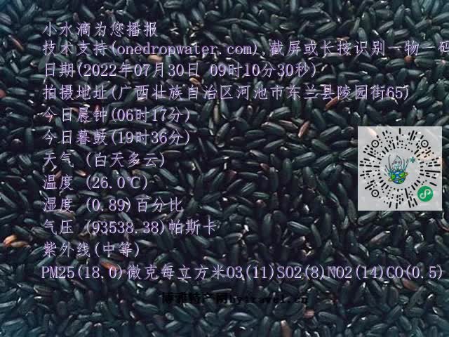 0.mp4