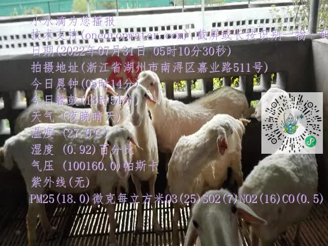 0.mp4