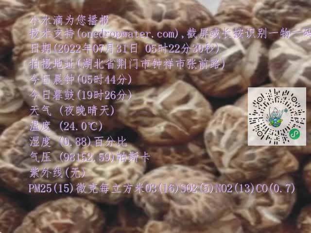 0.mp4