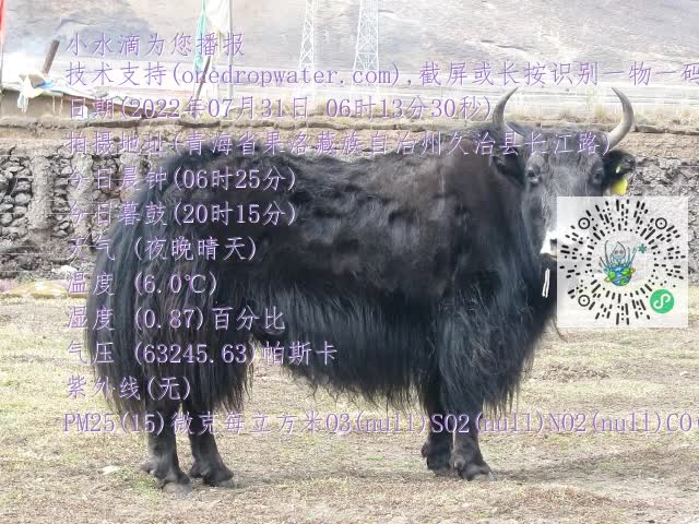 0.mp4