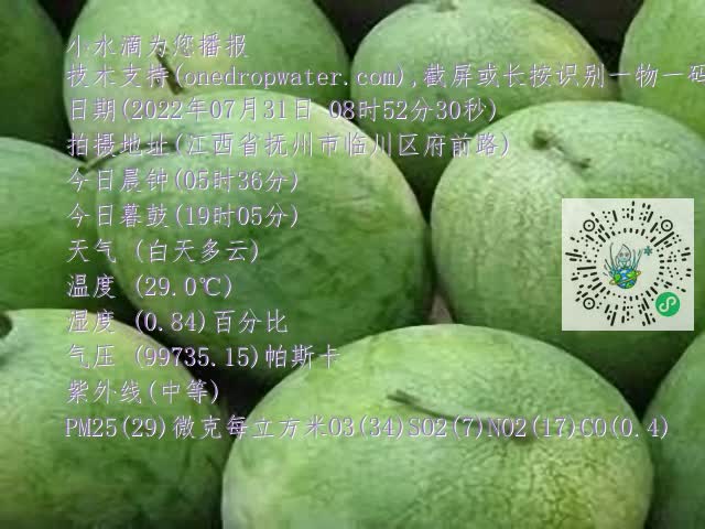 0.mp4