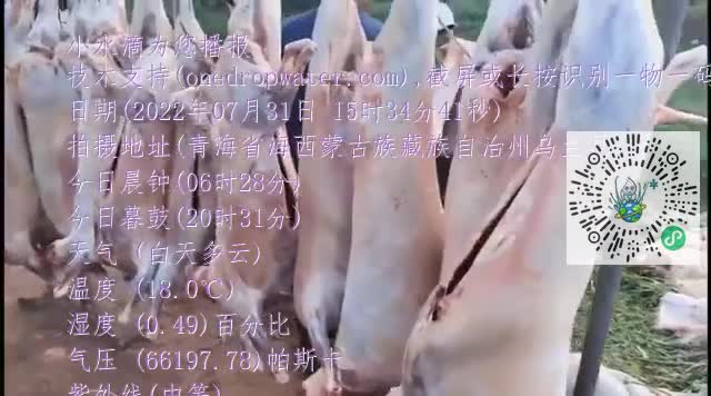 FlN4czPlhI3SnWCWUPDzWPT993Jymp4