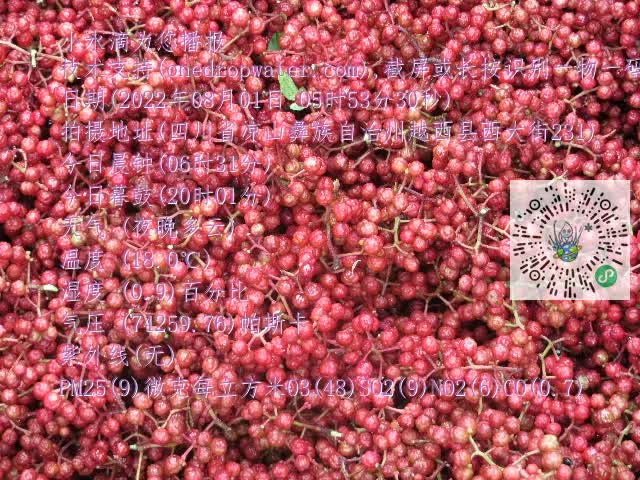 0.mp4