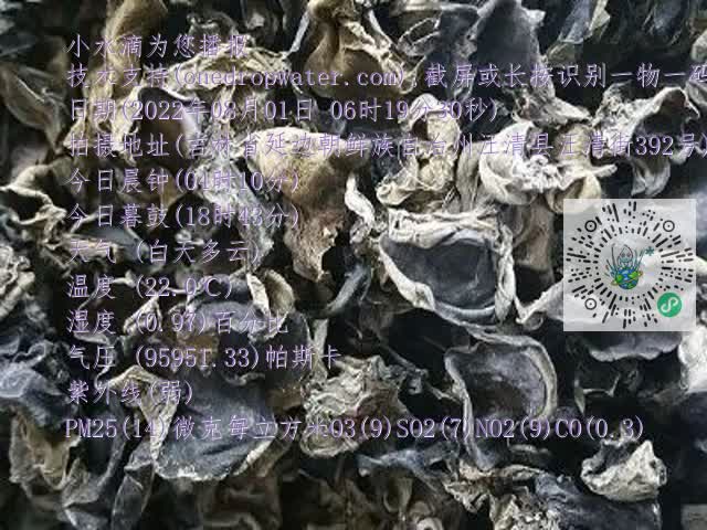 0.mp4