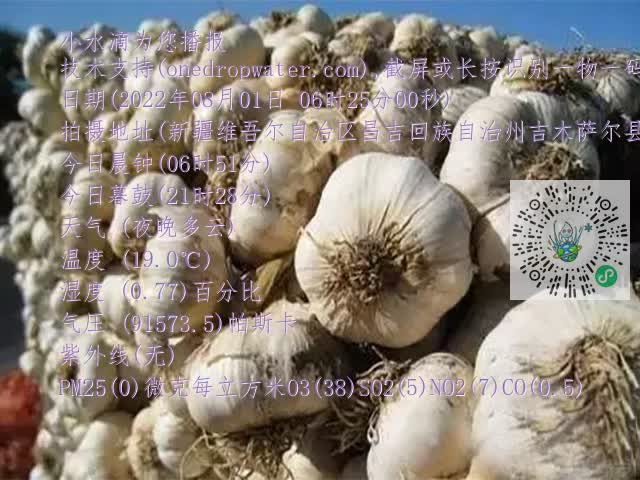 0.mp4