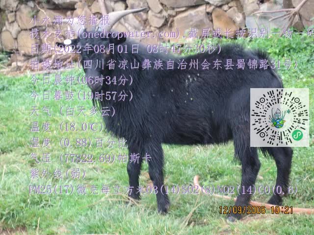 0.mp4