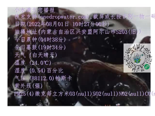 0.mp4