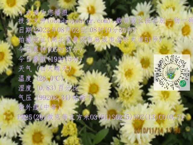 0.mp4