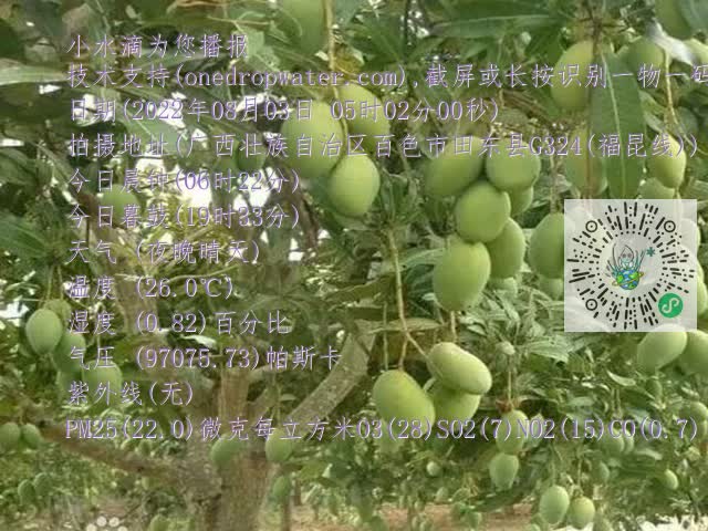 8ef11e115cff7ad3080e45ead4504c5b.mp4