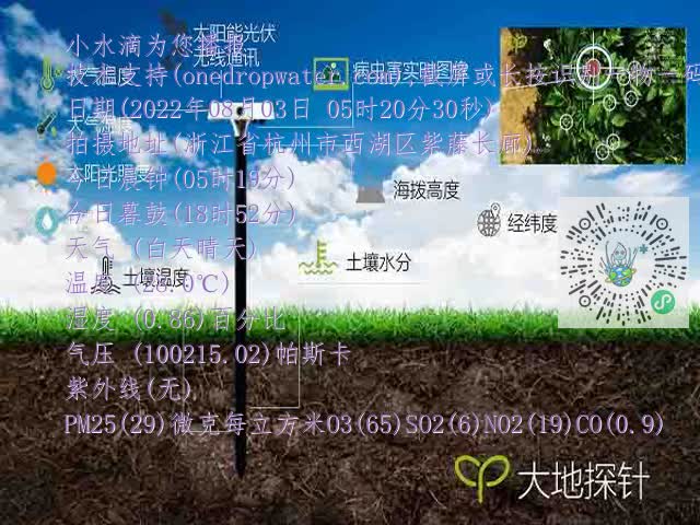 c5f5e29d78ef5b5e9254e5c36352b567.mp4