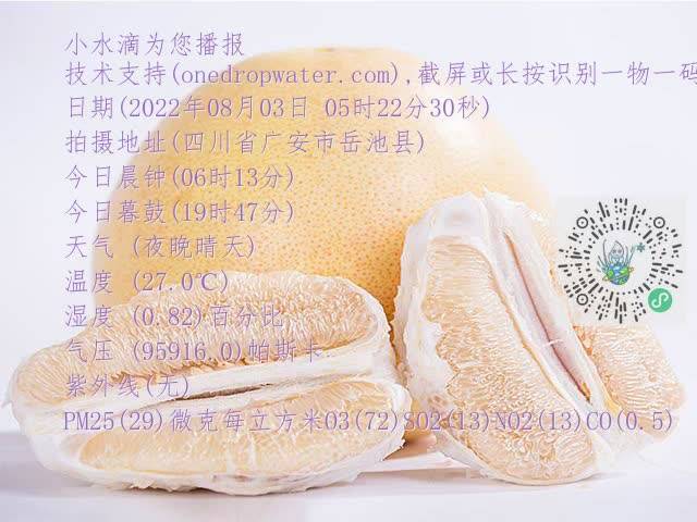 39b012b72081a8c328a6d4b6c17a3612.mp4