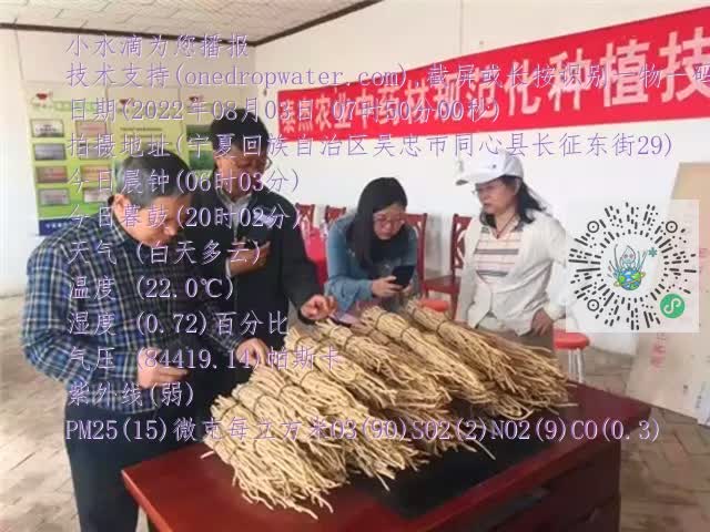 0.mp4