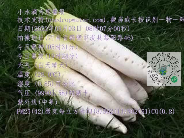 0.mp4