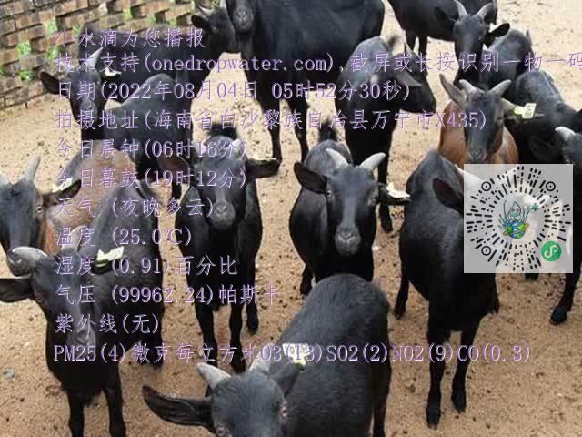 0df6b02a845ca5a6ab241ea637f45922.mp4