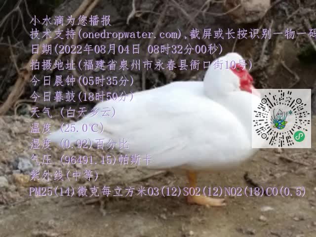 0.mp4