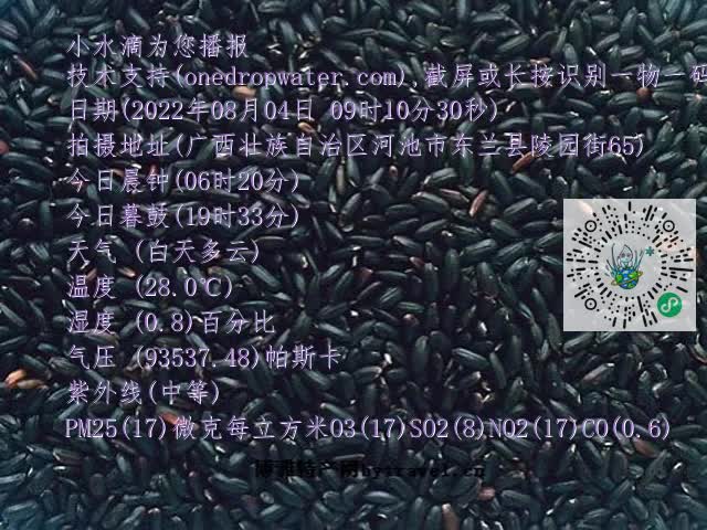 0.mp4