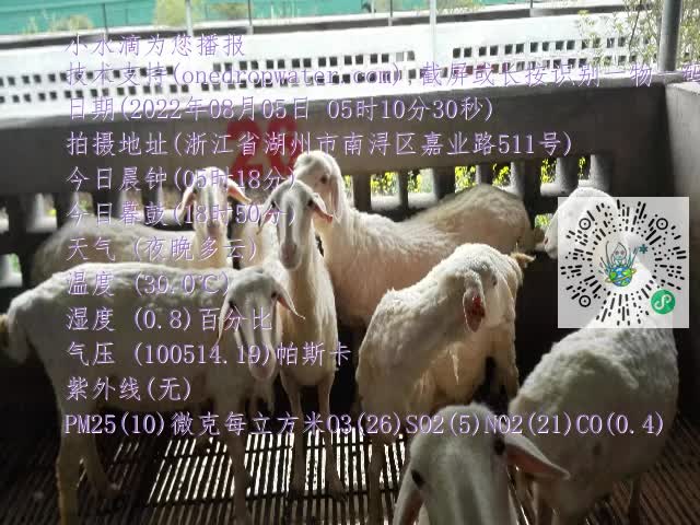 0.mp4