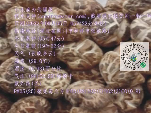 0.mp4