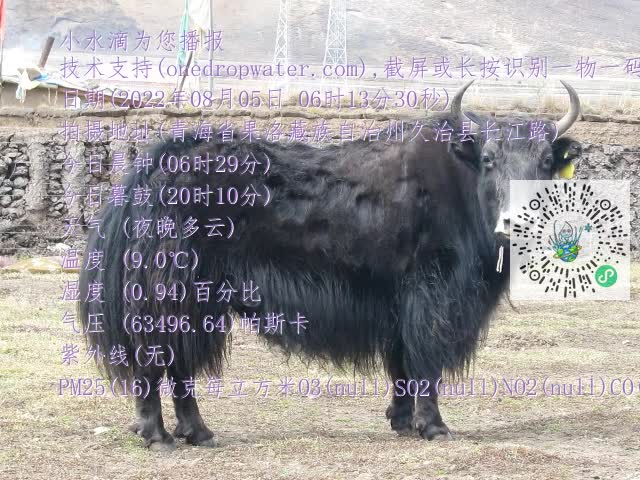 0.mp4