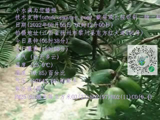 0.mp4