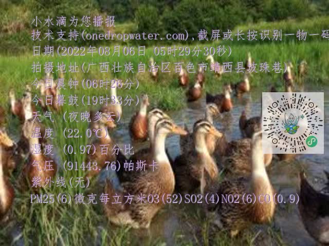 0.mp4