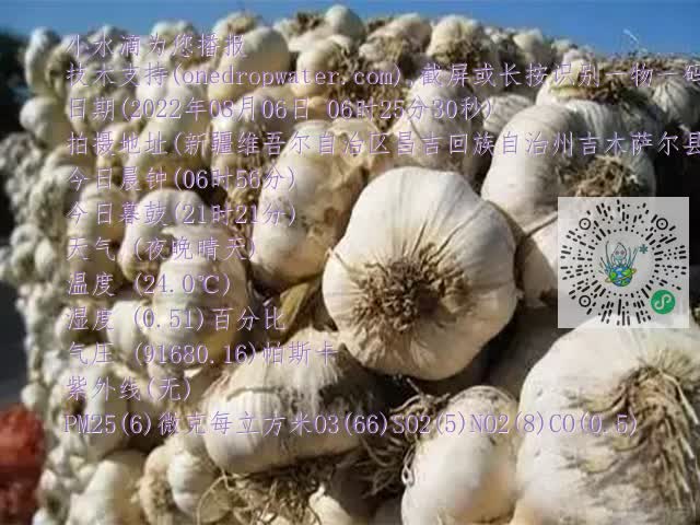 0.mp4