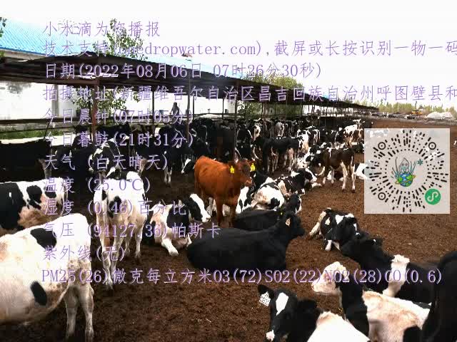 0.mp4