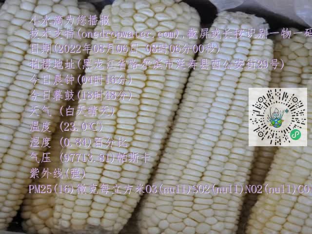 0.mp4