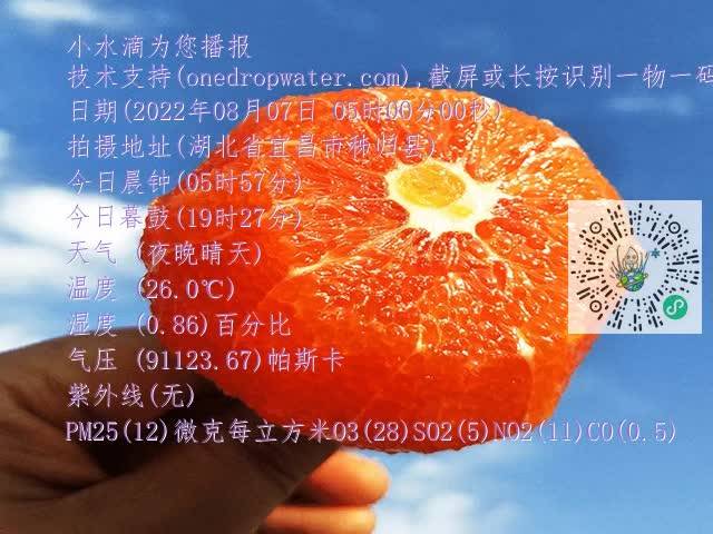 2dd7c92454ed3c2c0b797e257031d008.mp4