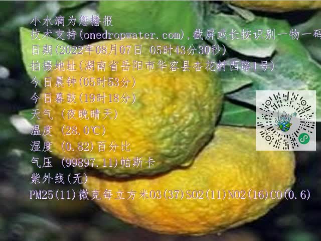 0.mp4