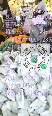 Fi13tEcXsRfDhMeZr4ptLQsdZQwump4