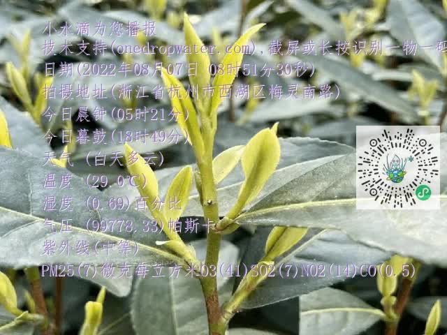 bcb53627134d4c6267f5e8555c504d40.mp4