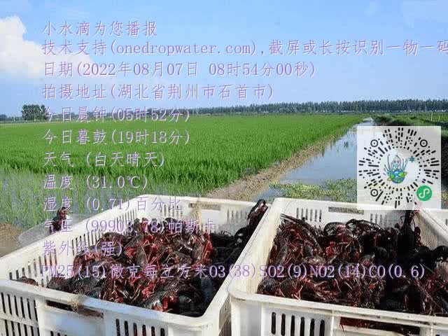 9c8b76a398c17587dc2fc48d5d266ed1.mp4