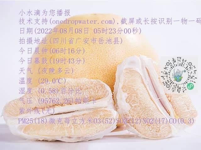39b012b72081a8c328a6d4b6c17a3612.mp4