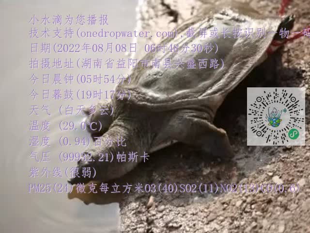 0.mp4