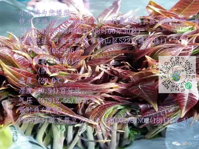 0.mp4
