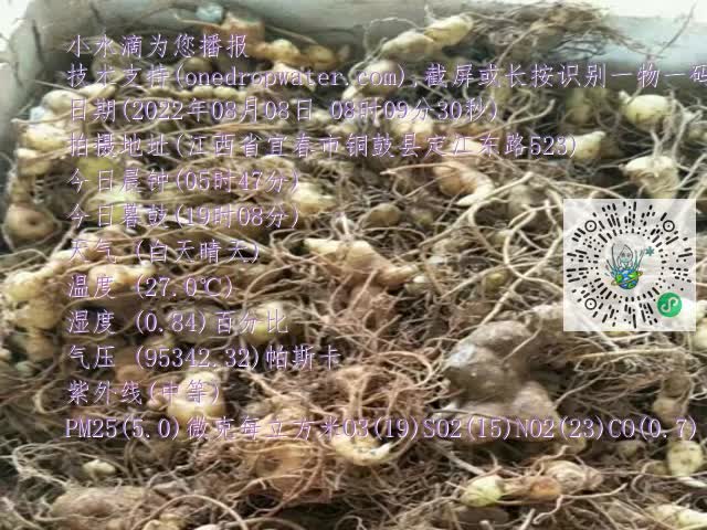 0.mp4
