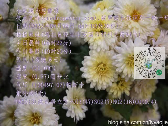 0.mp4